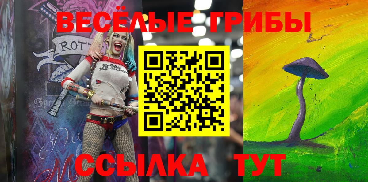 Галлюциногенные грибы прущие грибы  Вход с VPN  Черногорск 